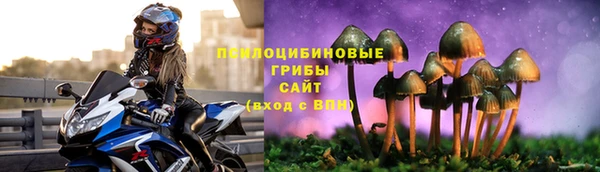 трава Арсеньев