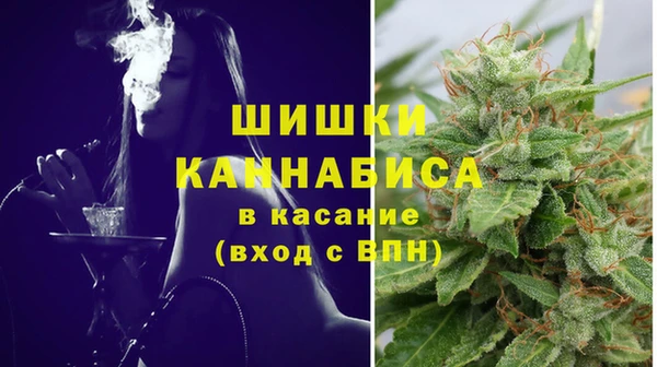 трава Арсеньев